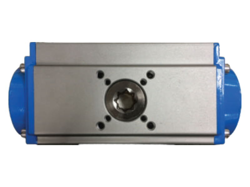 Pneumatic Actuator