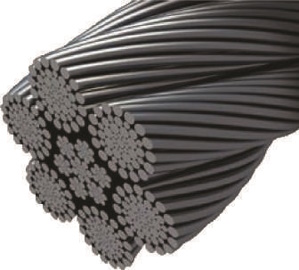 Robur Italy Hi-Tensile Wire Rope Clip