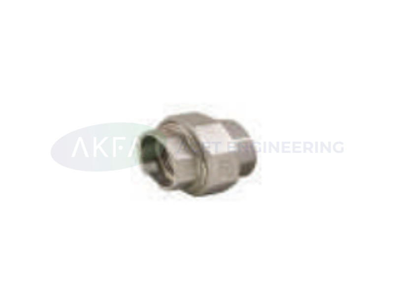 Union (Stainless Steel Fittings)