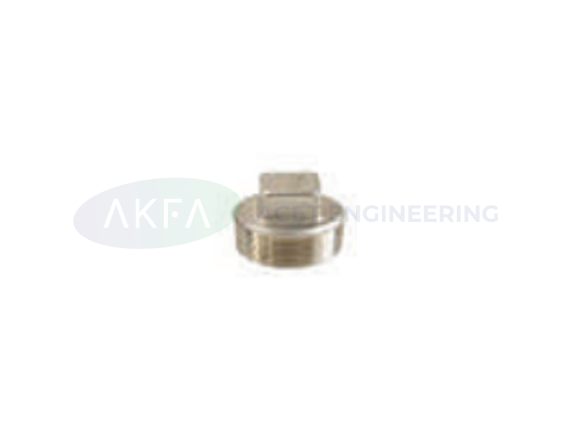 Plug (Stainless Steel Fittings)